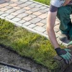 Things You Didn’t Know About Landscaping